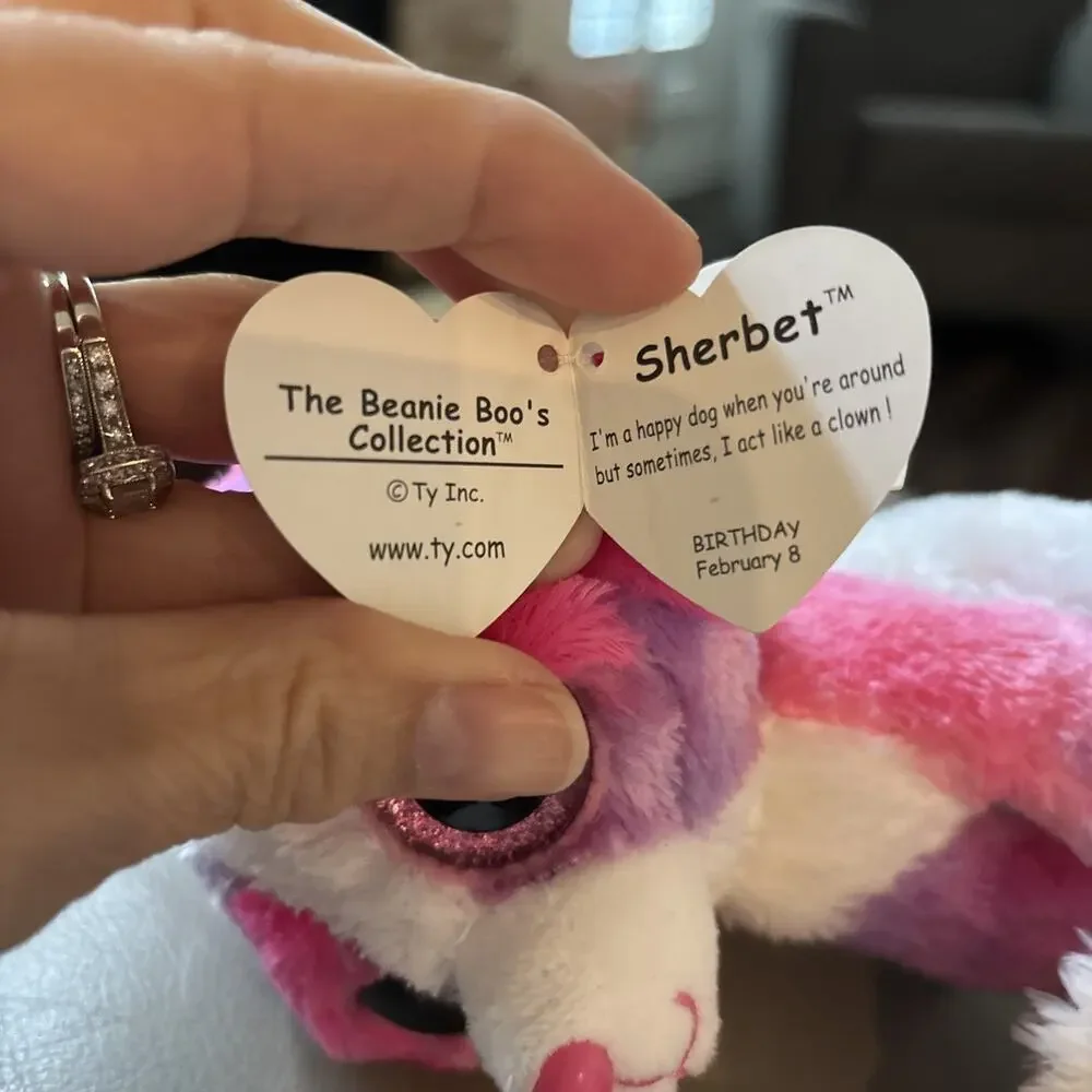 NWT TY Beanie Boos - SHERBET the Dog (Glitter Eyes) (6 inch) Boo Toy